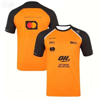 Lando Norris 1 Fahrer Sommermo – 3D Printing Gears Bewertung und Preis
