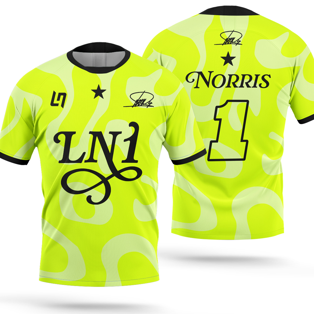 Lando Norris 1 Fahrer Sommermo – 3D Printing Gears Bewertung und Preis